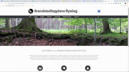 Design & utveckling – Hemsida Brandstads Byalag